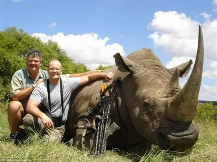Hunting Shrinks Rhinos’ Horns Over Time, Research