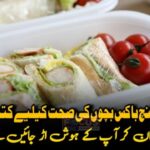 پلاسٹک لنچ باکس بچوں کی صحت کیلیے کتنا خطرناک