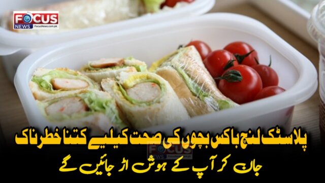 پلاسٹک لنچ باکس بچوں کی صحت کیلیے کتنا خطرناک