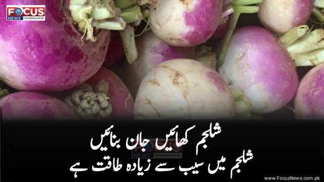 شلجم کھائیں جان بنائیں شلجم میں سیب سے زیادہ طاقت