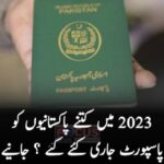 2023 میں کتنے پاکستانیوں کو پاسپورٹ جاری کئے گئے تفصیل جانئے