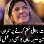 تاحیات نااہلی ختم کرنے پر عمران خان کی بہن علیمہ خان نے بھی رد عمل جاری کر دیا