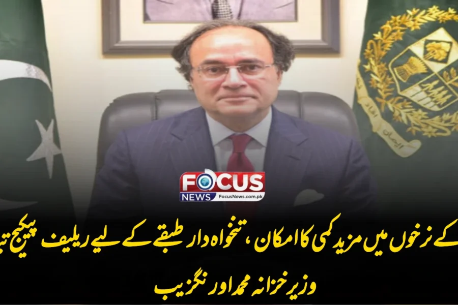 بجلی کے نرخوں میں مزید کمی کا امکان، تنخواہ دار طبقے کے لیے ریلیف پیکیج تیار: وزیر خزانہ محمد اورنگزیب