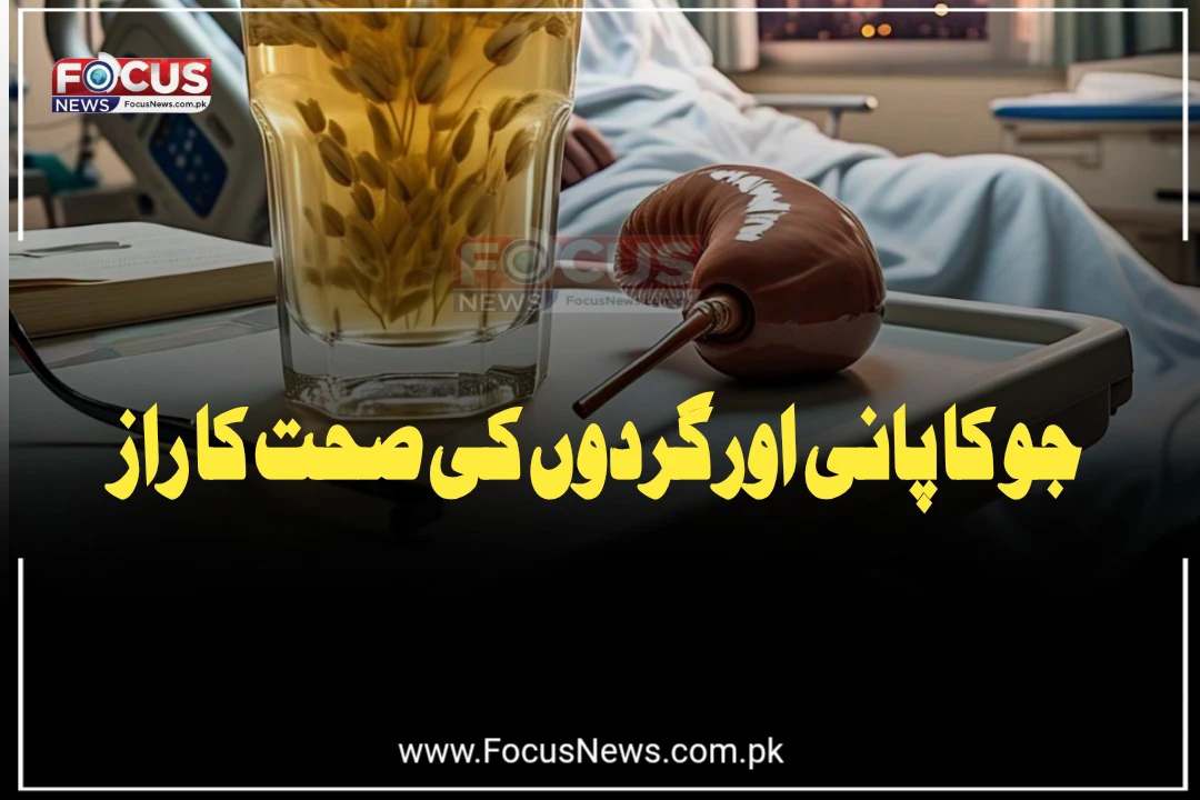 جو کا پانی اور گردوں کی صحت کا راز