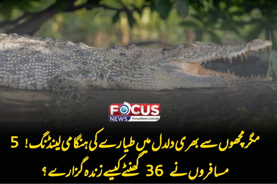 مگر مچھوں سے بھری دلدل میں طیارے کی ہنگامی لینڈنگ! 5 مسافروں نے 36 گھنٹے کیسے زندہ گزارے؟