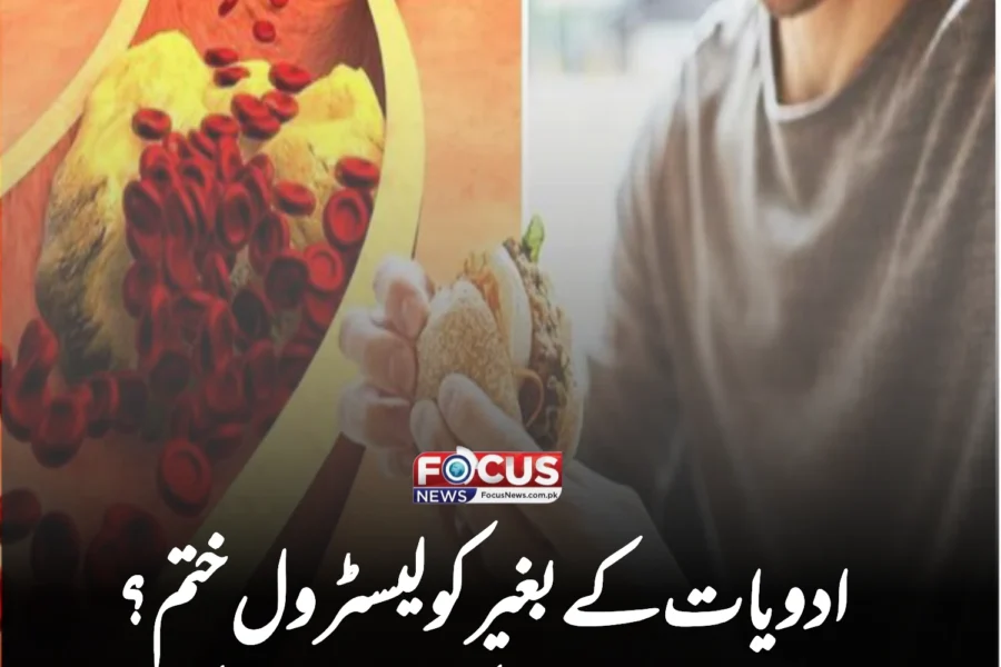 ادویات کے بغیر کولیسٹرول ختم؟ جانیں وہ طریقے جو دل کو بھی حیران کر دیں