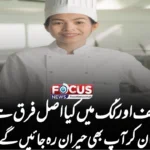 شیف اور کُک میں کیا اصل فرق ہے؟ جان کر آپ بھی حیران رہ جائیں گے