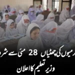 پنجاب میں گرمیوں کی چھٹیاں 28 مئی سے شروع ہوں گی: وزیر تعلیم کا اعلان