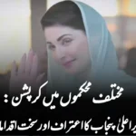 مختلف محکموں میں کرپشن: وزیراعلیٰ پنجاب کا اعتراف اور سخت اقدامات