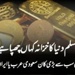 مسلم دنیا کا خزانہ کہاں چھپا ہے؟ سونے کی سب سے بڑی کان سعودی عرب یا ایران میں نہیں