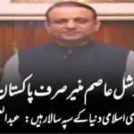 فیلڈ مارشل عاصم منیر صرف پاکستان نہیں، بلکہ پوری اسلامی دنیا کے سپہ سالار ہیں: عبدالعلیم خان