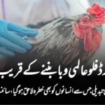 برڈ فلو عالمی وبا بننے کے قریب؟ وائرس میں ایسی تبدیلی جس سے انسانوں کو بھی خطرہ لاحق ہو گیا، سائنسدان پریشان