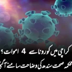 کراچی میں کورونا سے 4 اموات؟ محکمہ صحت سندھ کی وضاحت سامنے آگئی