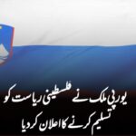 یورپی ملک نے فلسطینی ریاست کو تسلیم کرنے کا اعلان کر دیا