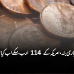 امریکہ میں پینی بننا بند، 114 ارب سکوں کا کیا بنے گا؟