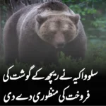 سلوواکیہ نے ریچھ کے گوشت کی فروخت کی منظوری دے دی