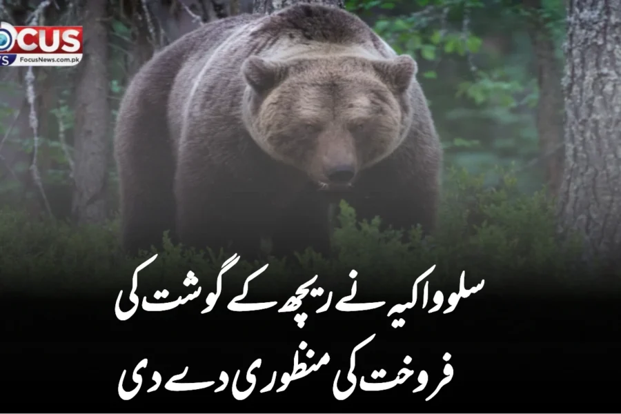 سلوواکیہ نے ریچھ کے گوشت کی فروخت کی منظوری دے دی