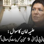 علیمہ خان کا سوال: بانی پی ٹی آئی 9 مئی پر کس بات کی معافی مانگیں؟