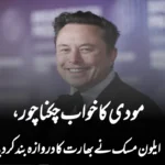 مودی کا خواب چکناچور، ایلون مسک نے بھارت کا دروازہ بند کر دیا