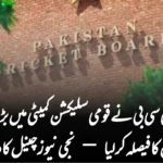 پی سی بی نے قومی سلیکشن کمیٹی میں بڑی تبدیلیوں کا فیصلہ کر لیا — نجی نیوز چینل کا دعویٰ