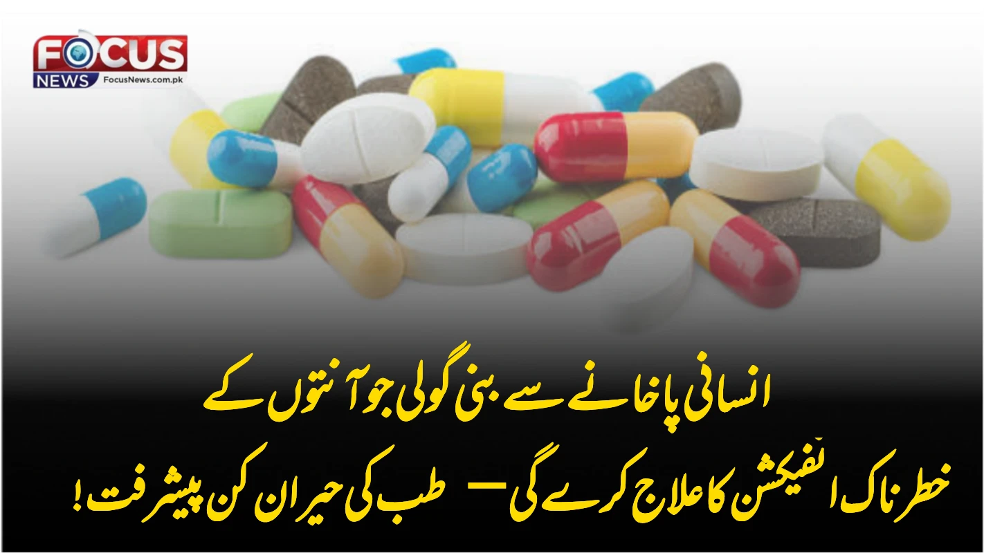 انسانی پاخانے سے بنی گولی جو آنتوں کے خطرناک انفیکشن کا علاج کرے گی— طب کی حیران کن پیشرفت!
