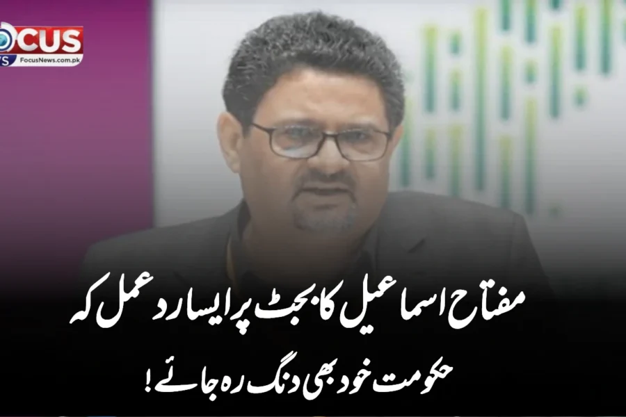 مفتاح اسماعیل کا بجٹ پر ایسا ردعمل کہ حکومت خود بھی دنگ رہ جائے!