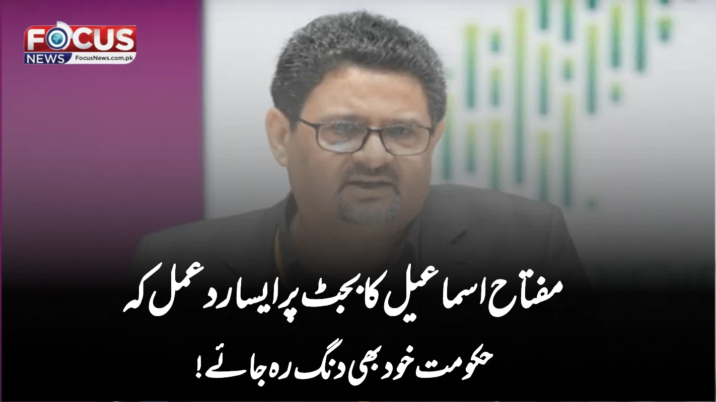 مفتاح اسماعیل کا بجٹ پر ایسا ردعمل کہ حکومت خود بھی دنگ رہ جائے!