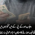 پنجاب اور کے پی کے میں تنخواہوں میں کتنے فیصد اضافے کا امکان؟ بڑا دعویٰ سامنے آ گیا!