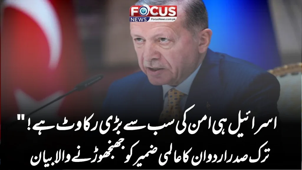 اسرائیل ہی امن کی سب سے بڑی رکاوٹ ہے!” ترک صدر اردوان کا عالمی ضمیر کو جھنجھوڑنے والا بیان