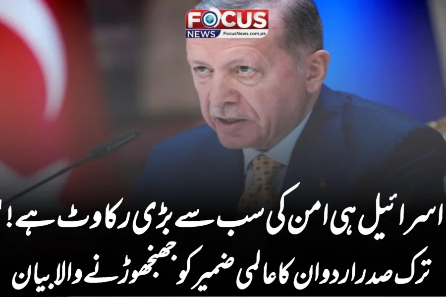 اسرائیل ہی امن کی سب سے بڑی رکاوٹ ہے!” ترک صدر اردوان کا عالمی ضمیر کو جھنجھوڑنے والا بیان