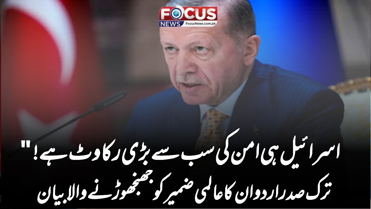 اسرائیل ہی امن کی سب سے بڑی رکاوٹ ہے!" ترک صدر اردوان کا عالمی ضمیر کو جھنجھوڑنے والا بیان