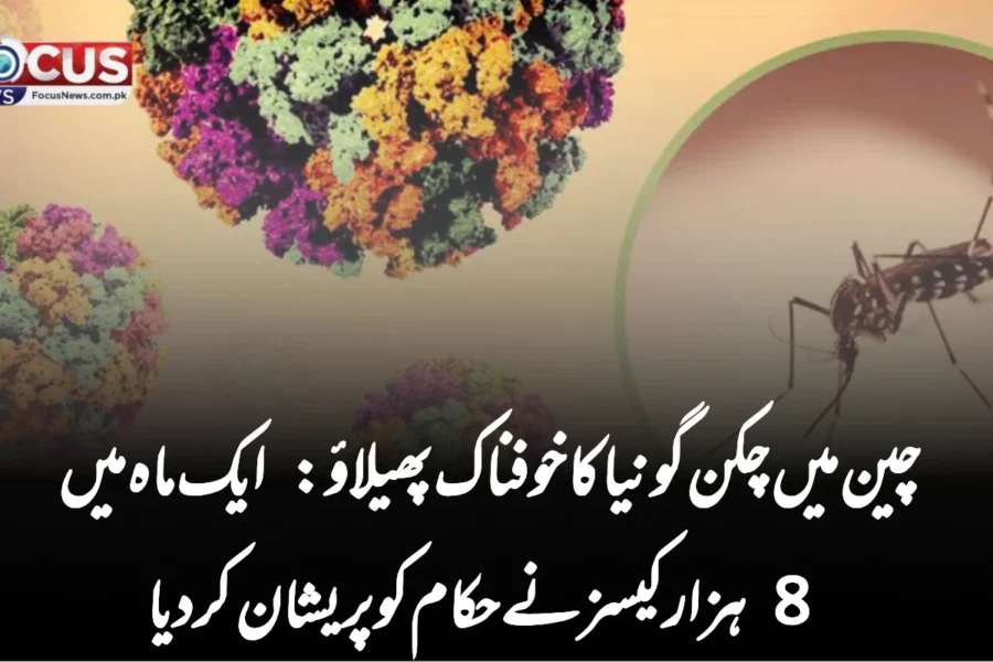 چین میں چکن گونیا کا خوفناک پھیلاؤ: ایک ماہ میں 8 ہزار کیسز نے حکام کو پریشان کر دیا