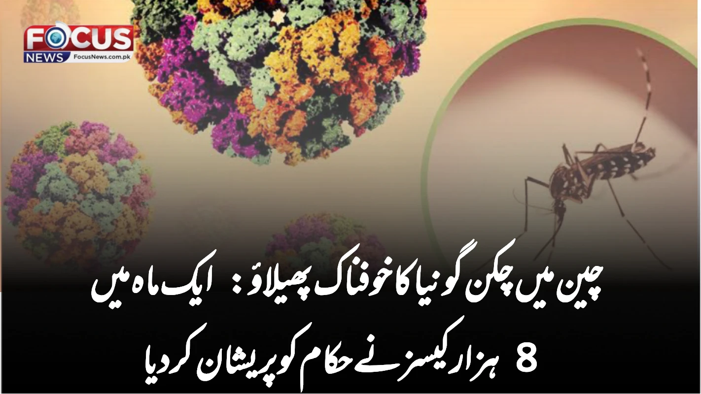 چین میں چکن گونیا کا خوفناک پھیلاؤ: ایک ماہ میں 8 ہزار کیسز نے حکام کو پریشان کر دیا