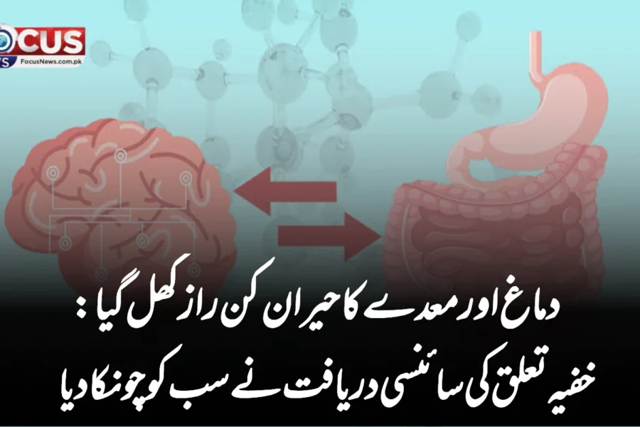 دماغ اور معدے کا حیران کن راز کھل گیا: خفیہ تعلق کی سائنسی دریافت نے سب کو چونکا دیا