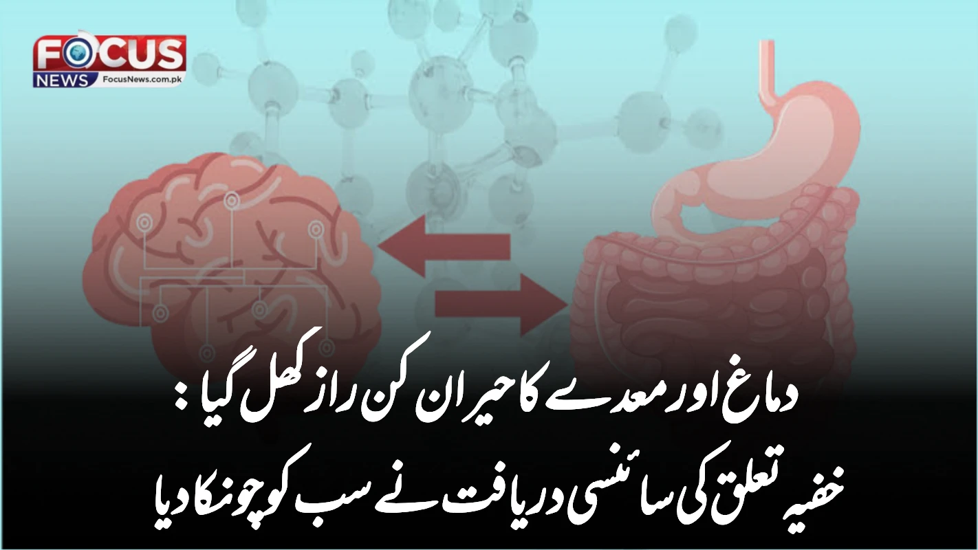 دماغ اور معدے کا حیران کن راز کھل گیا: خفیہ تعلق کی سائنسی دریافت نے سب کو چونکا دیا