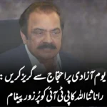 یوم آزادی پر احتجاج سے گریز کریں: رانا ثنااللہ کا پی ٹی آئی کو پُرزور پیغام