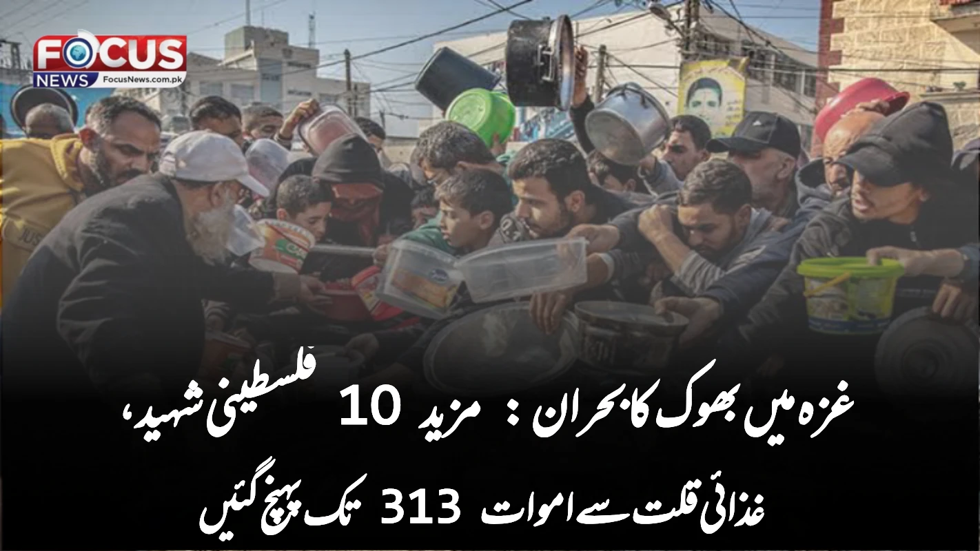 غزہ میں بھوک کا بحران: مزید 10 فلسطینی شہید، غذائی قلت سے اموات 313 تک پہنچ گئیں