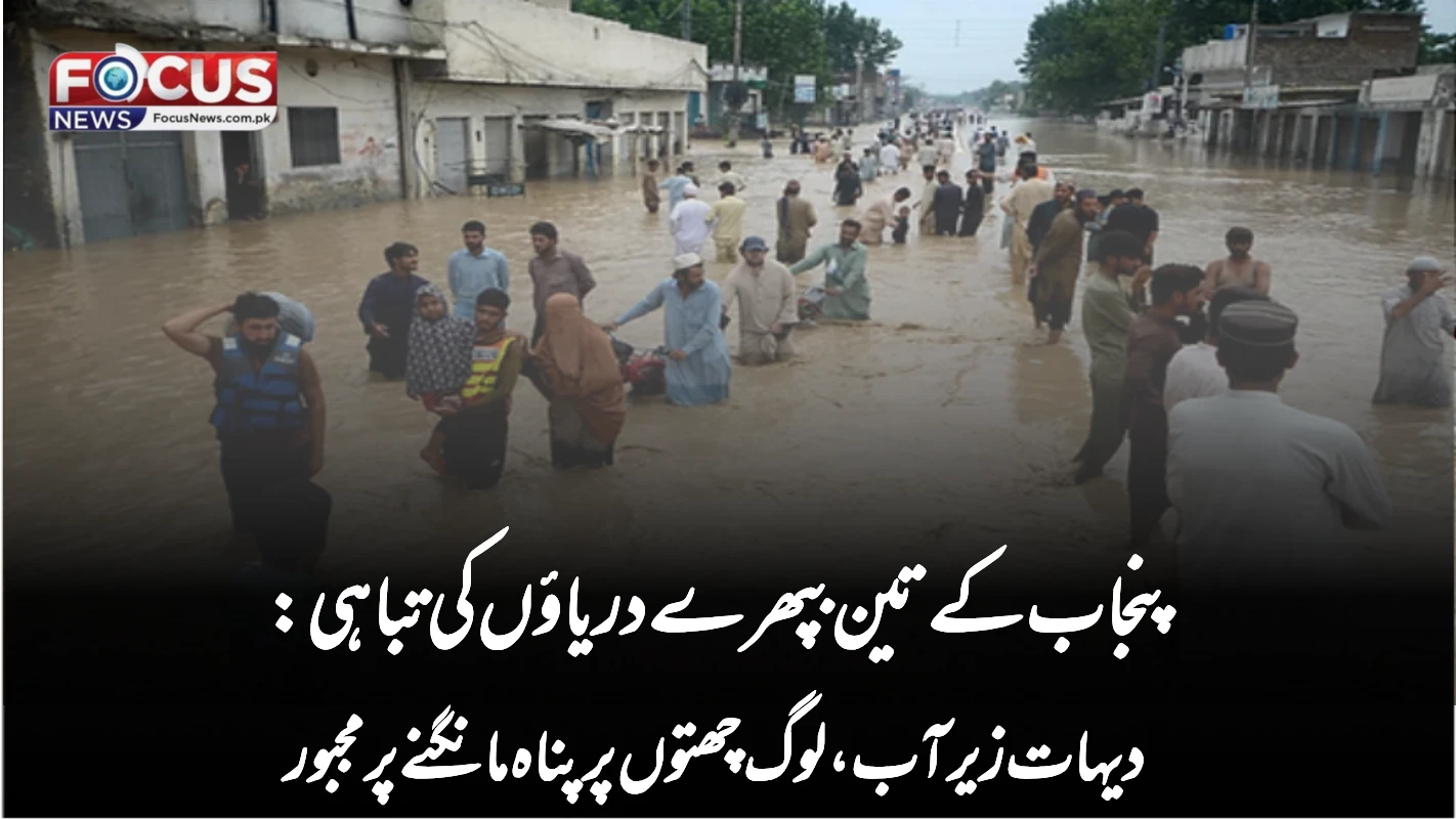 پنجاب کے تین بپھرے دریاؤں کی تباہی: دیہات زیر آب، لوگ چھتوں پر پناہ مانگنے پر مجبور
