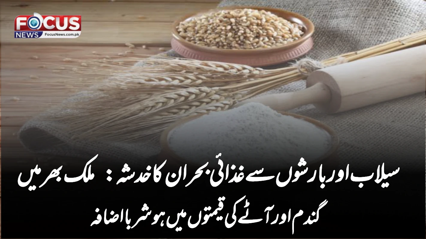 سیلاب اور بارشوں سے غذائی بحران کا خدشہ: ملک بھر میں گندم اور آٹے کی قیمتوں میں ہوشربا اضافہ