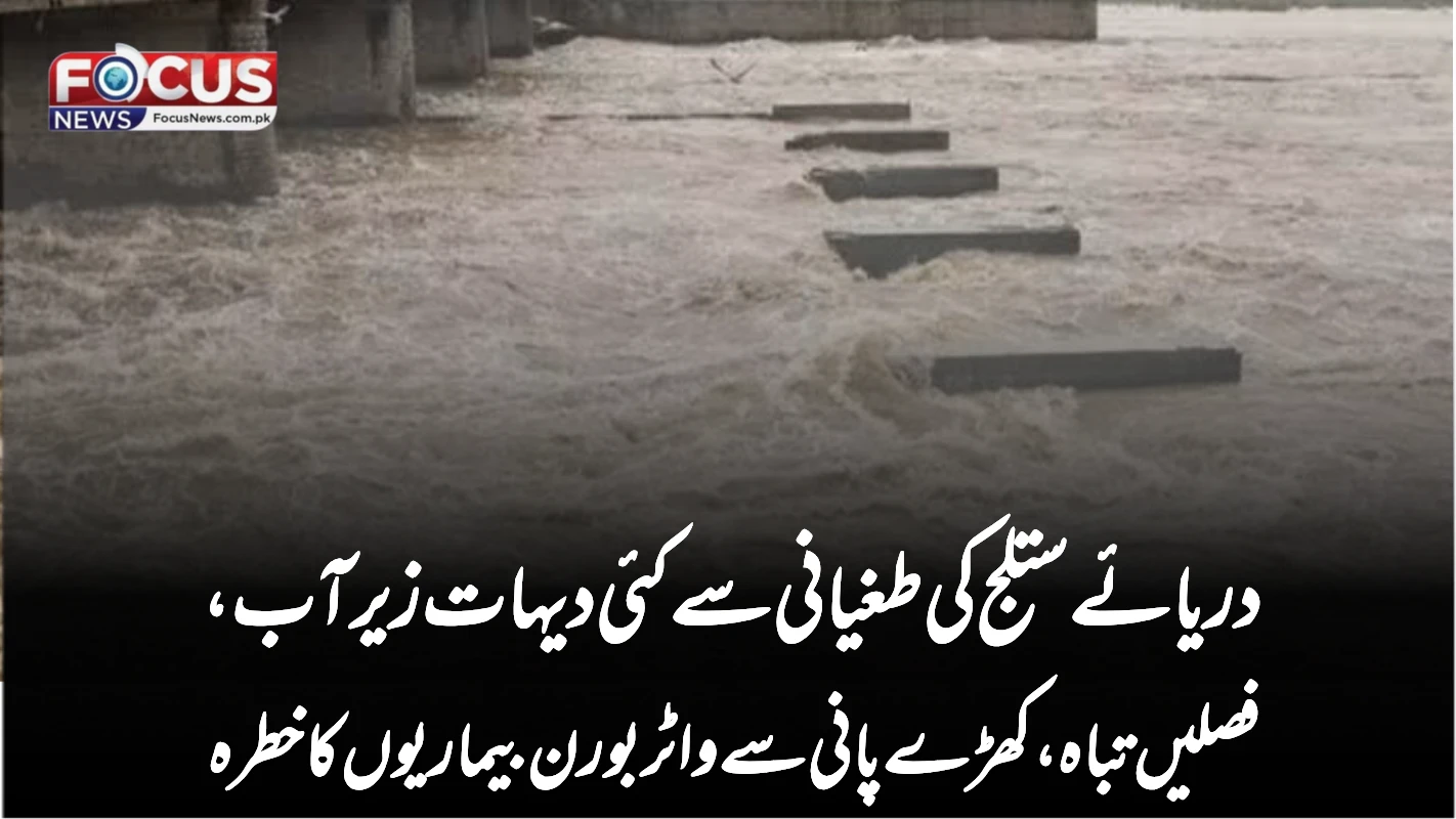 دریائے ستلج کی طغیانی: سیکڑوں دیہات زیر آب، فصلیں تباہ، کھڑے پانی سے بیماریوں کا خطرہ