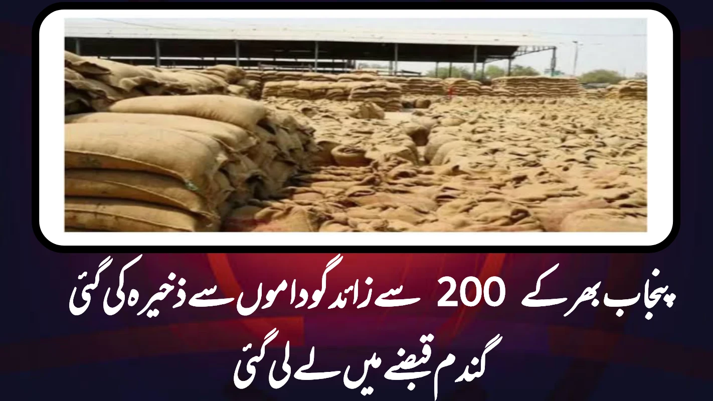 پنجاب بھر کے 200 سے زائد گوداموں سے ذخیرہ کی گئی گندم قبضے میں لے لی گئی
