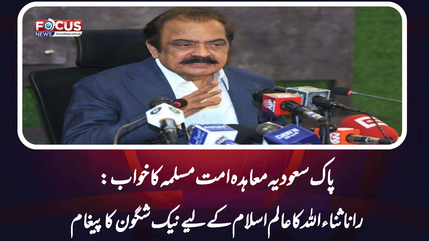 پاک سعودیہ معاہدہ امت مسلمہ کا خواب: رانا ثناء اللہ کا عالم اسلام کے لیے نیک شگون کا پیغام