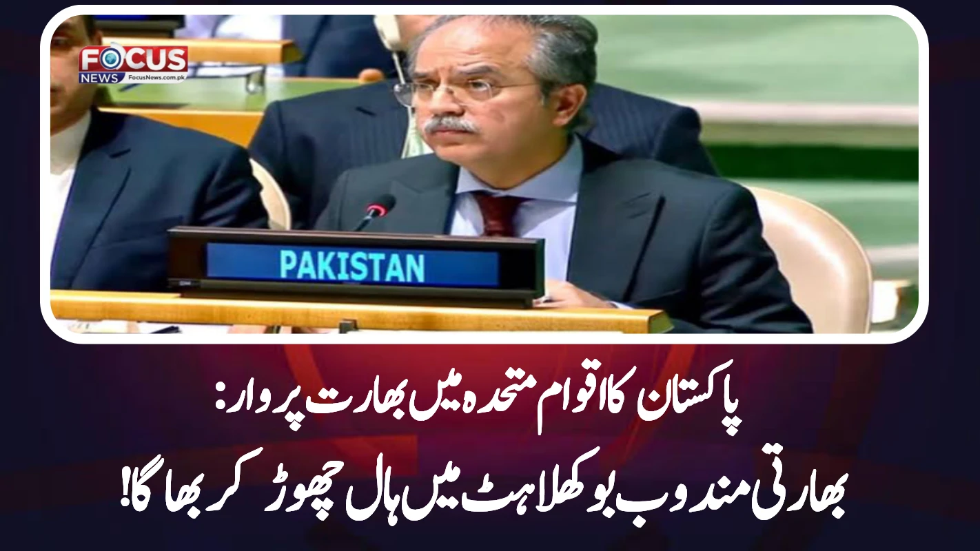 پاکستان کا اقوام متحدہ میں بھارت پر وار: بھارتی مندوب بوکھلاہٹ میں ہال چھوڑ کر بھاگا!