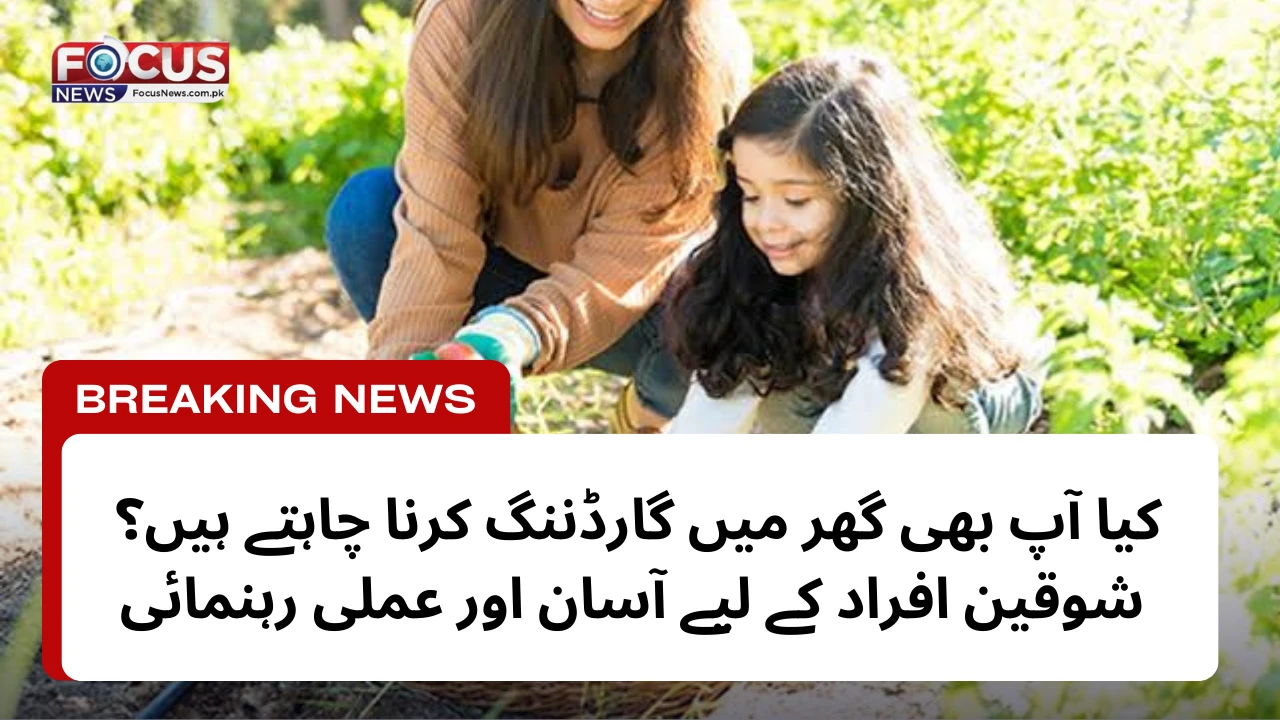 کیا آپ بھی گھر میں گارڈننگ کرنا چاہتے ہیں؟ شوقین افراد کے لیے آسان اور عملی رہنمائی