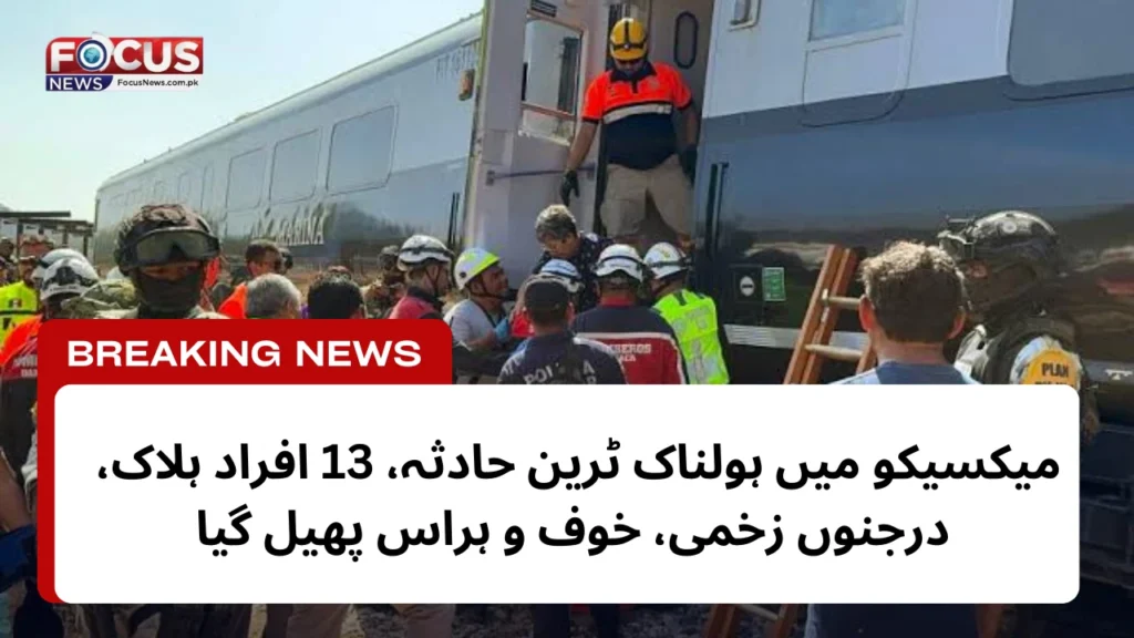 سڈنی بونڈی بیچ حملہ 17 دسمبر 2025 نوید اکرم پر 59 الزامات عائد، ISIS آئیڈیا_20251229_114936_0000