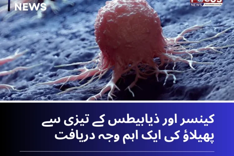 Key Factor Behind Rapid Spread of Cancer and Diabetes Identified